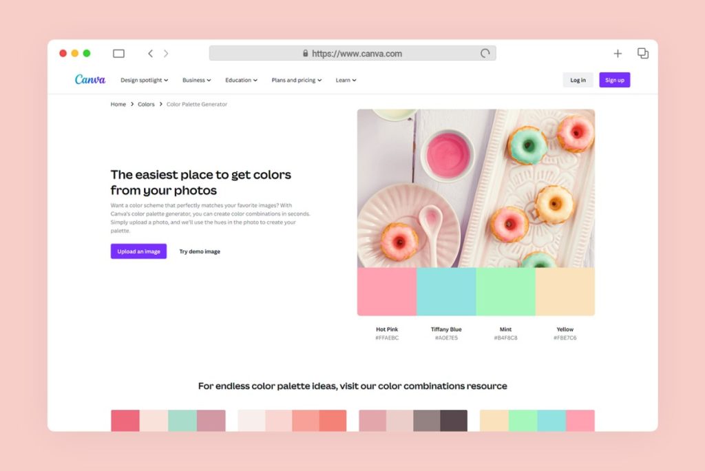 5.   Canva Color Palette Generator