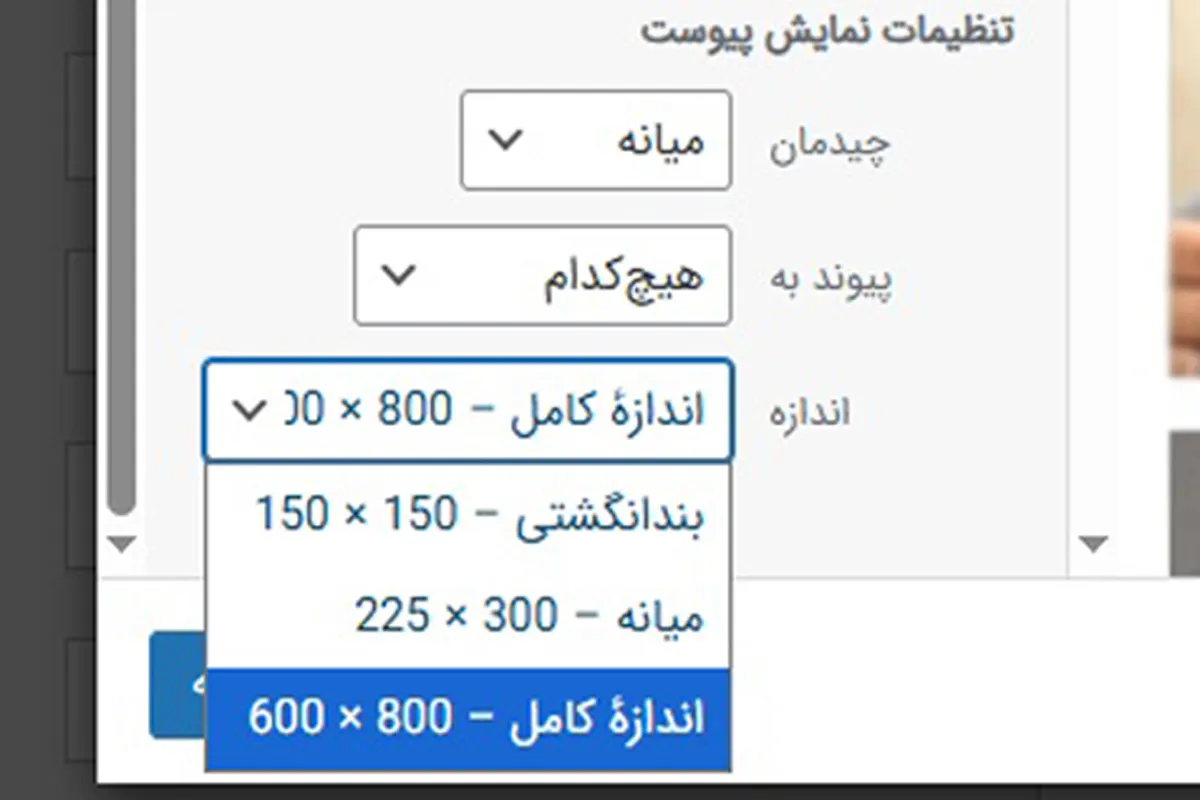 تعیین اندازه تصویر