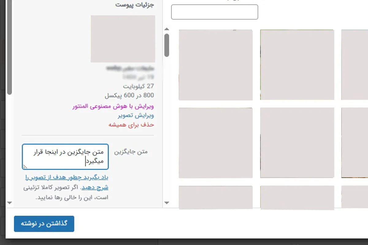 متن جایگزین